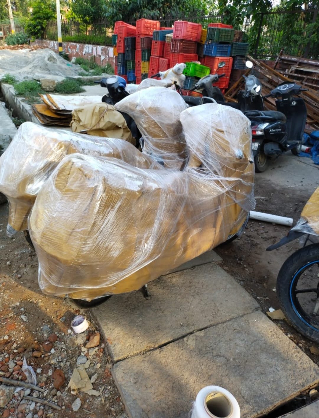 Packing & Moving Services